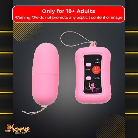 Remote Control Vibrating Egg BV-003