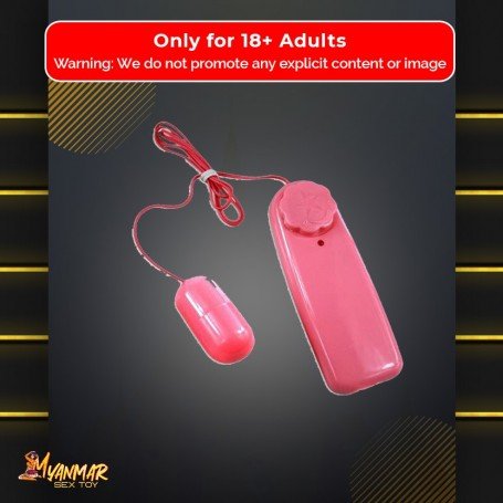 Bullet Vibrator 2 in 1 BV-008