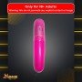 Pleasure Centre Bullet Vibrator BV-022