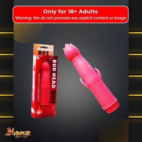 Bud Head Boy Fun Vibrator FV-001