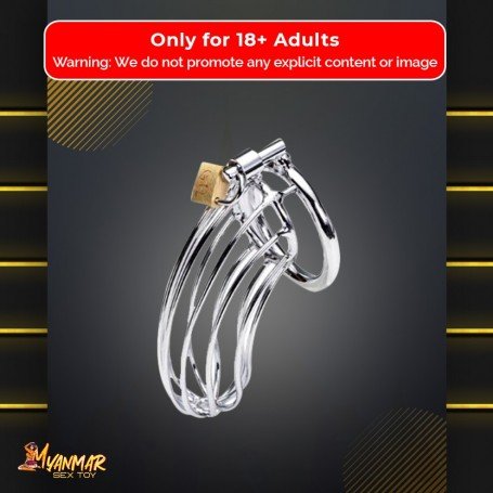 Stainless Steel Iron Wire Male Chastity Lock BDSM-016