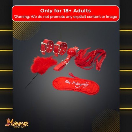 BDSM SEX KIT Bracelet+Whip+Goggles+Feather+Mouth Ball Gag BDSM-001