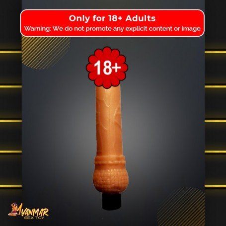 Mr. Dong Realistic Vibrator RSV-017