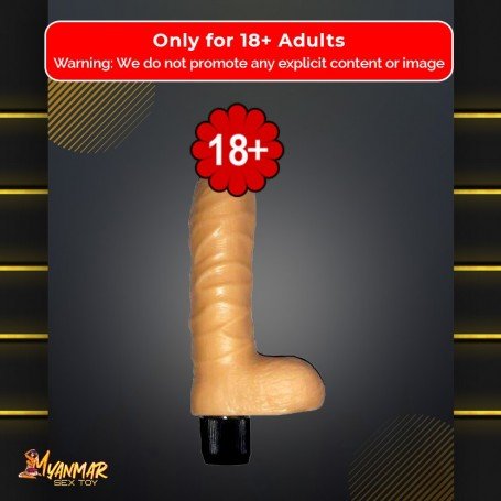 Realistic Penis with Vibrations And Real Feel Balls RSV-074