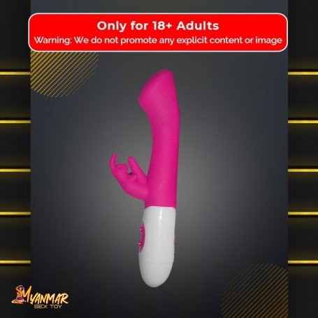 10 FUNCTION DUAL RABBIT VIBRATORS RV-014
